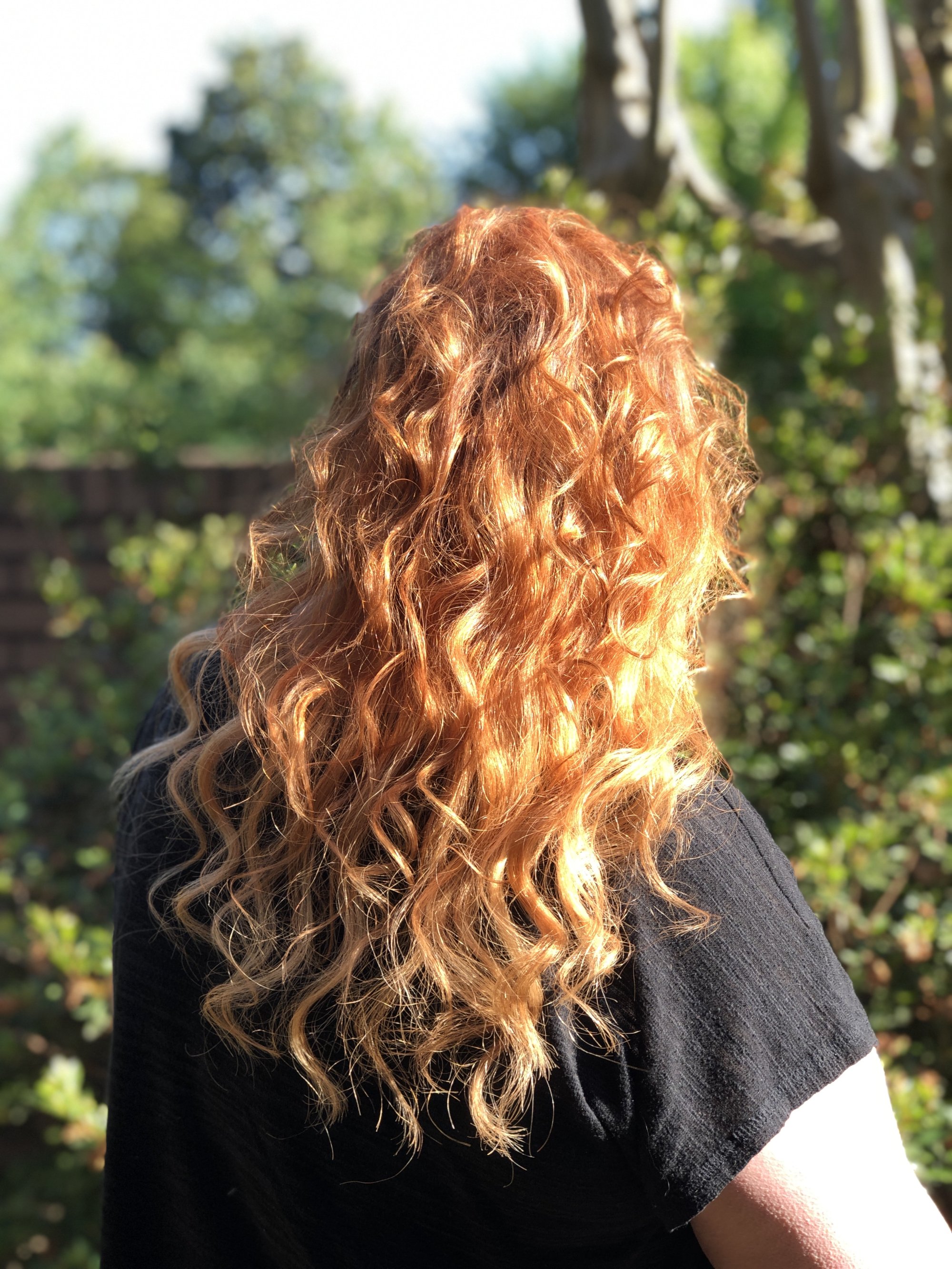 Professional hair cut at Salon Elements