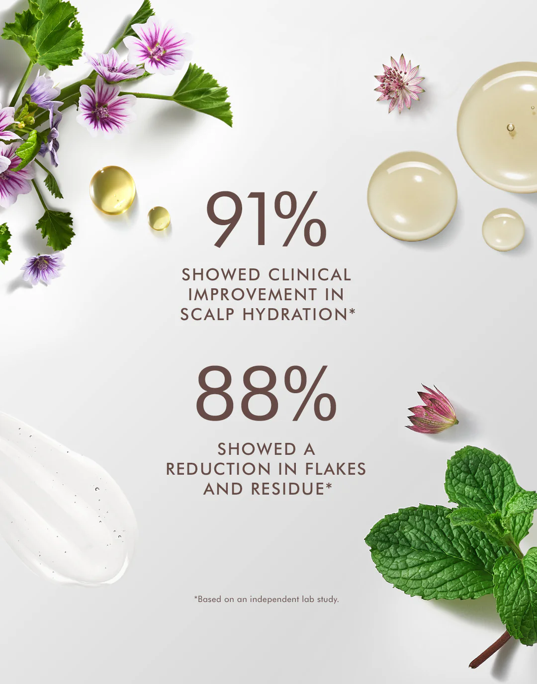 Salon Elements salon in Fort Smith