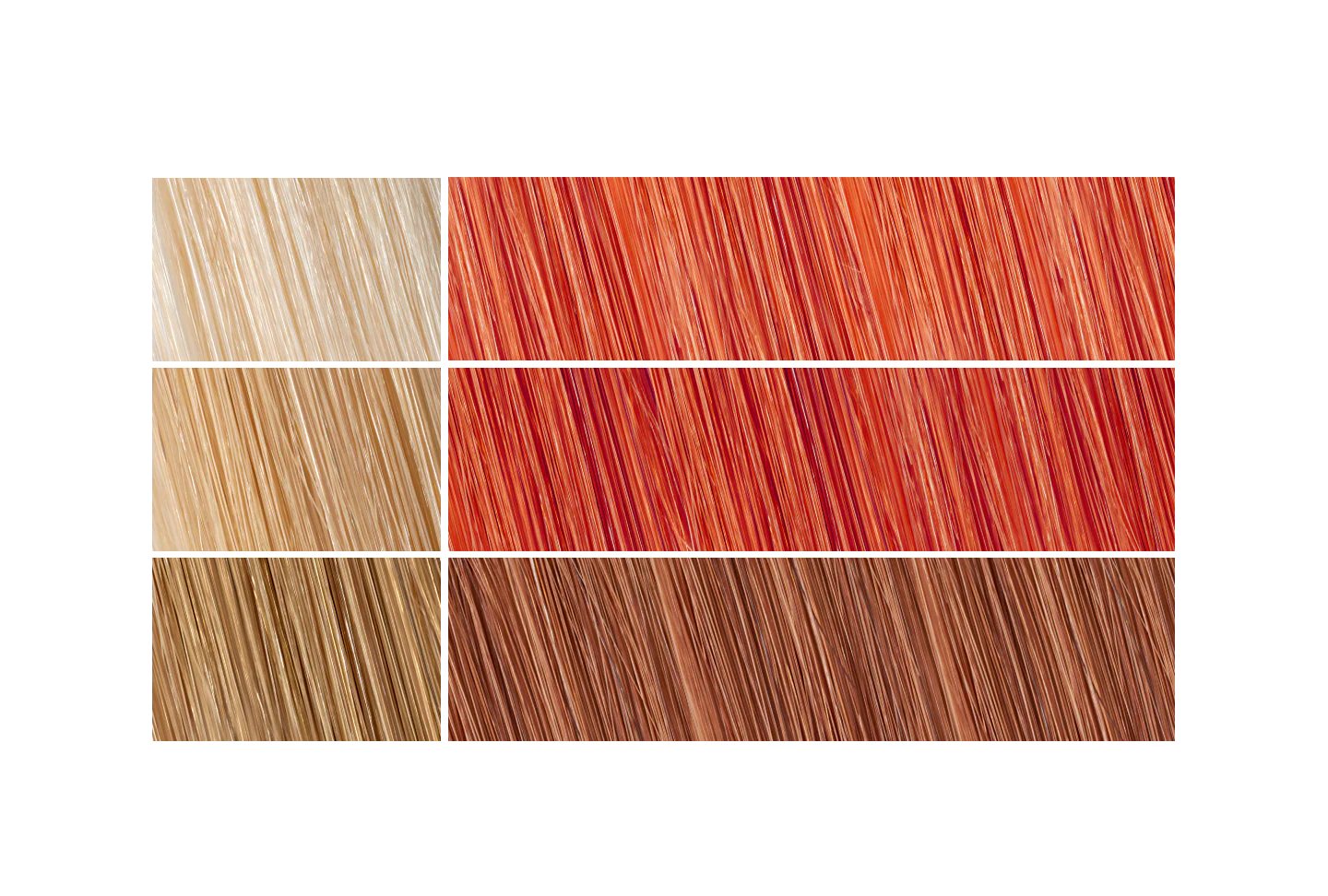 Salon Elements hair salon in Fort Smith